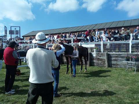 Dingley Races photo
